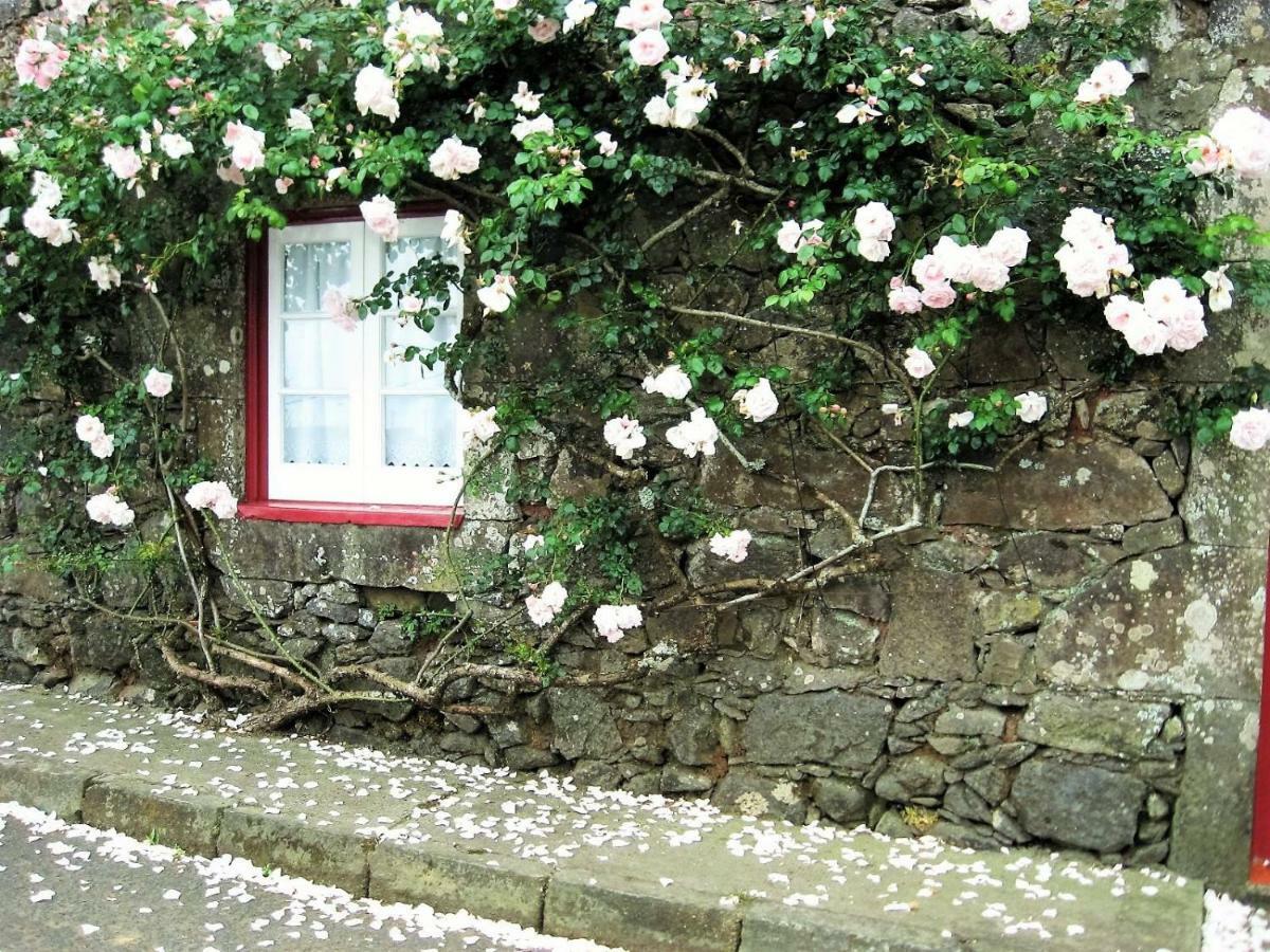 Casa Da Roseira Holiday home Nordeste (Azores)